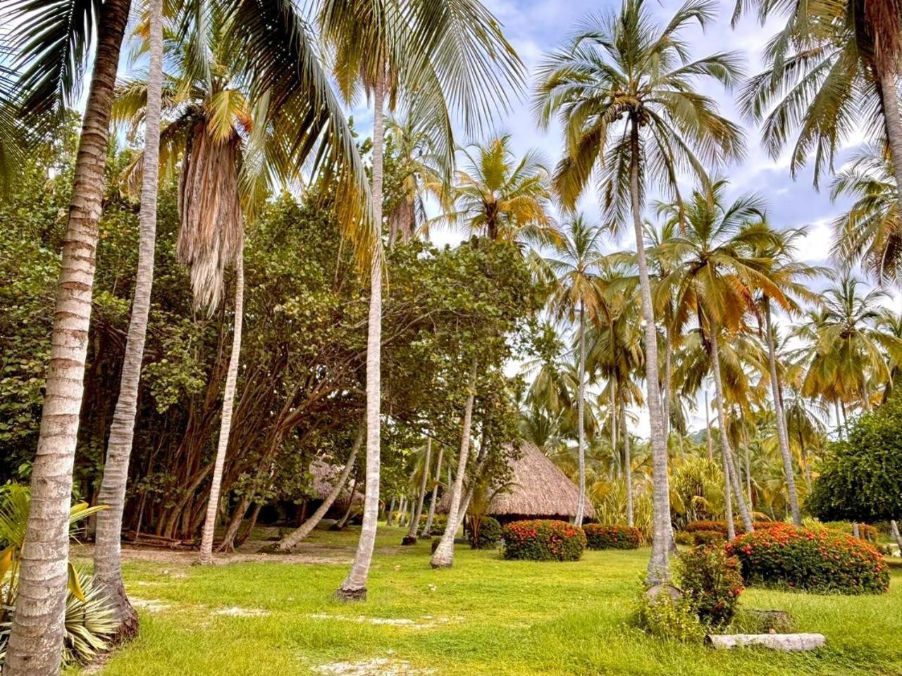 Hotel Playa Bonita Tayrona ブリタカ エクステリア 写真