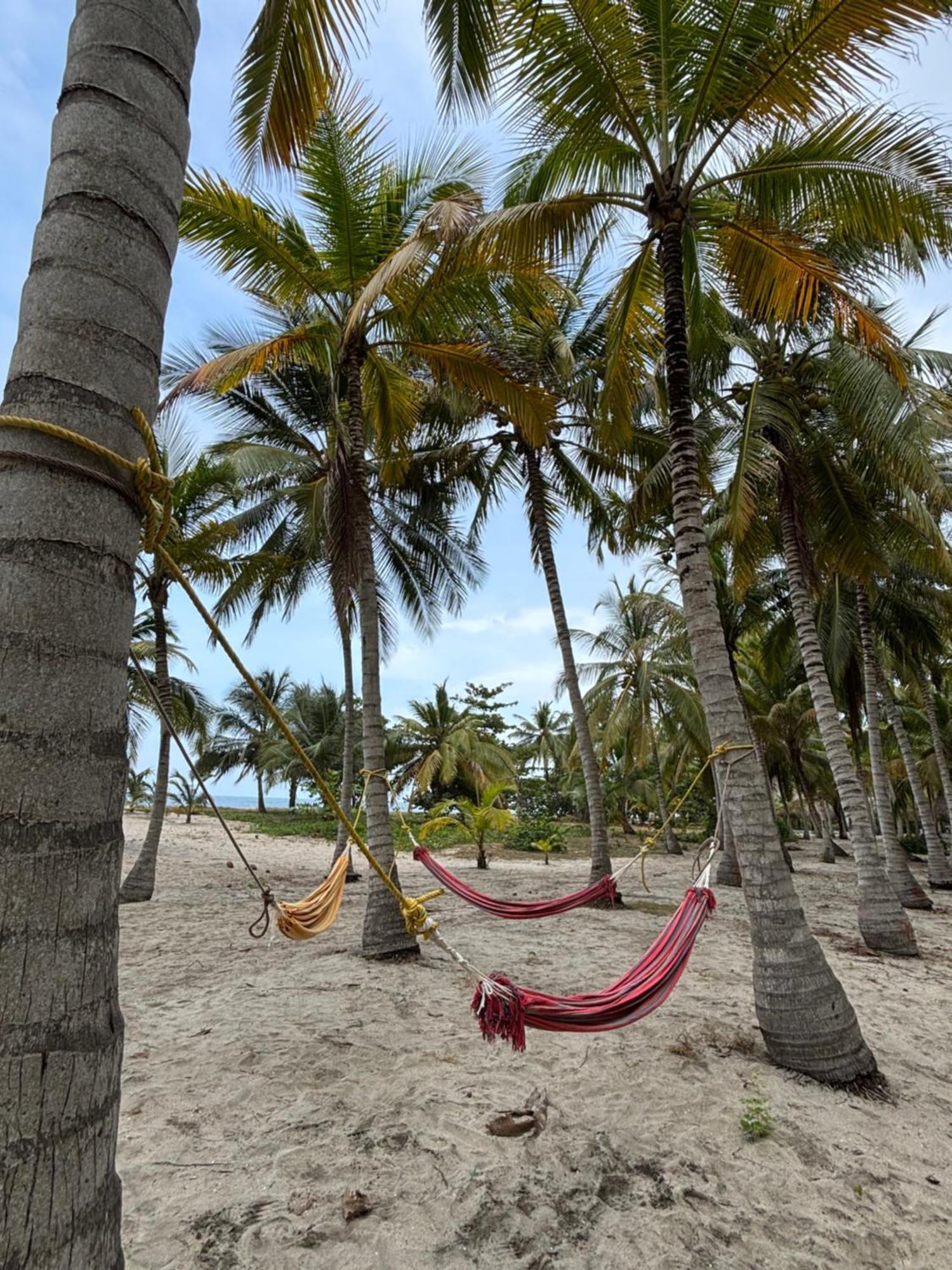 Hotel Playa Bonita Tayrona ブリタカ エクステリア 写真