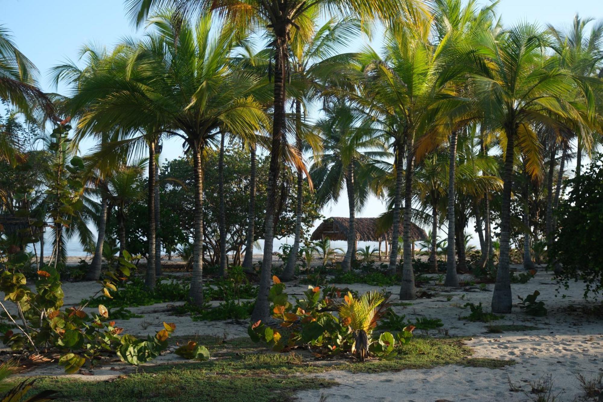 Hotel Playa Bonita Tayrona ブリタカ エクステリア 写真